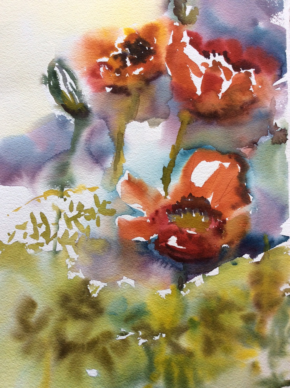 Poppies with a hint of autumn