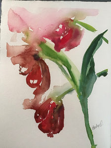 Frilly tulips