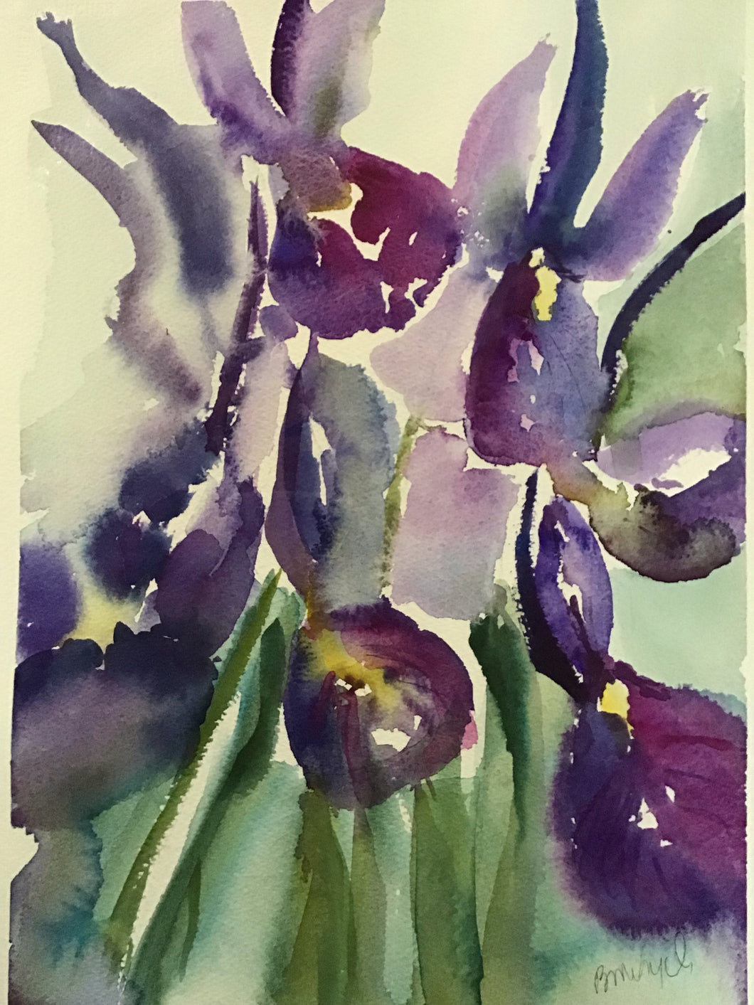 Irises