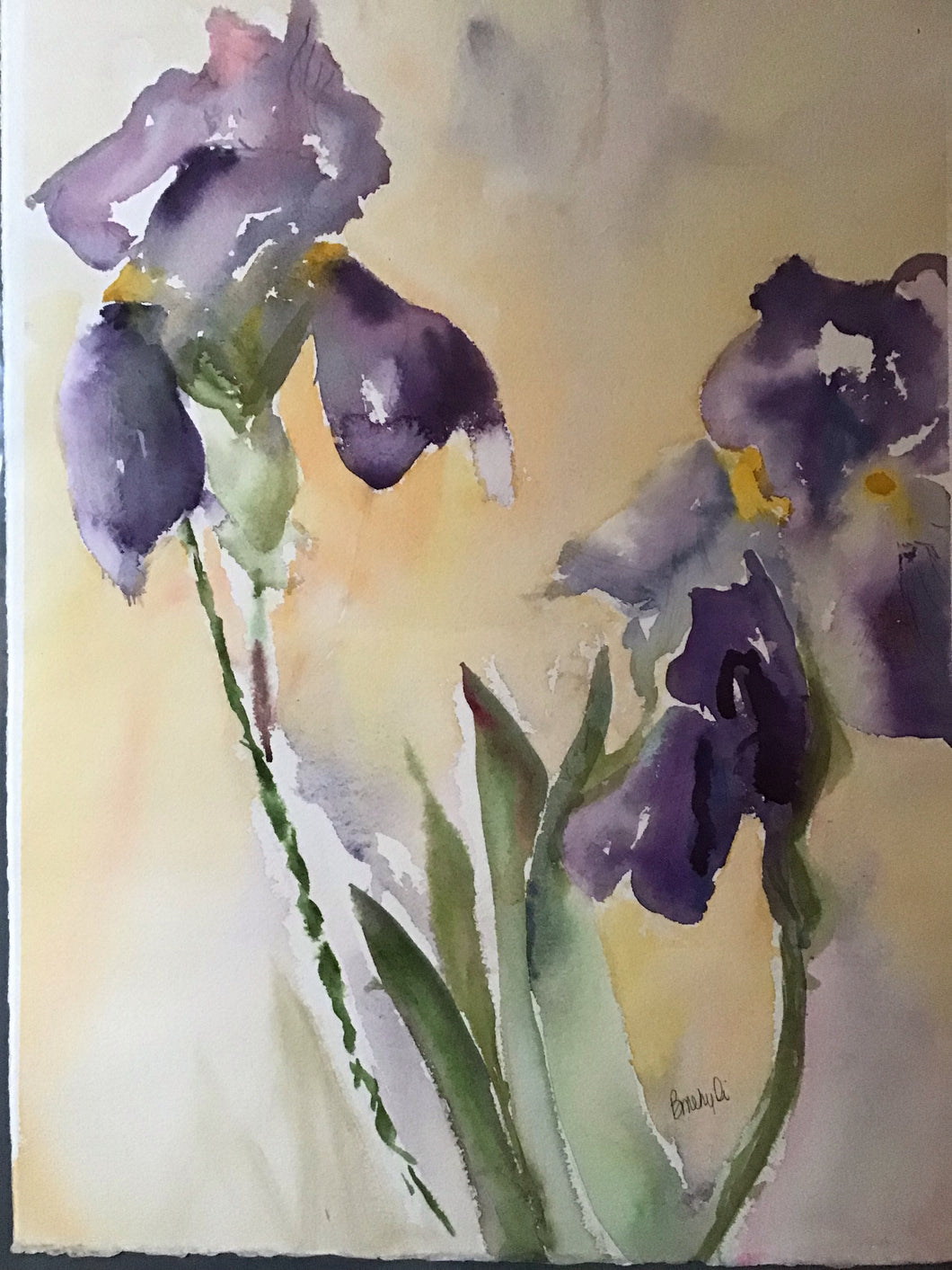 Irises II